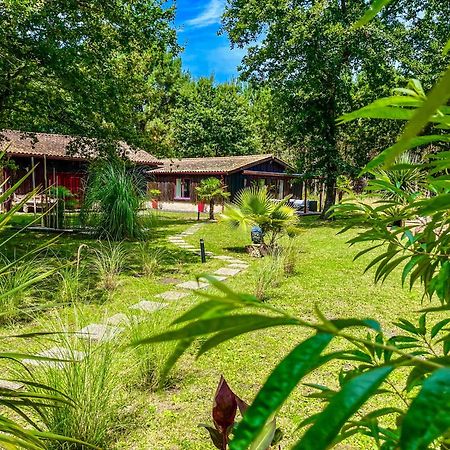 House De La Canopee, Swimming Pool, Lake, Forest, Large Garden And Wifi هورتين المظهر الخارجي الصورة