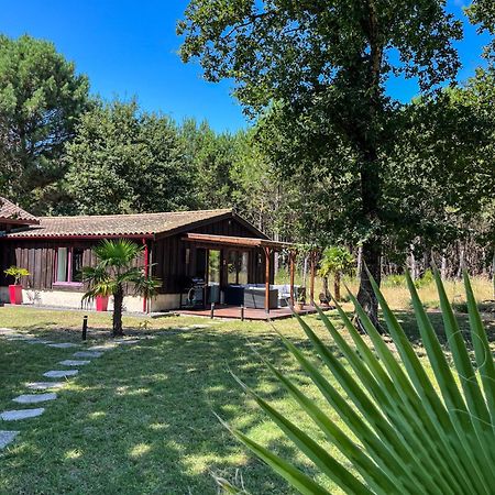 House De La Canopee, Swimming Pool, Lake, Forest, Large Garden And Wifi هورتين المظهر الخارجي الصورة