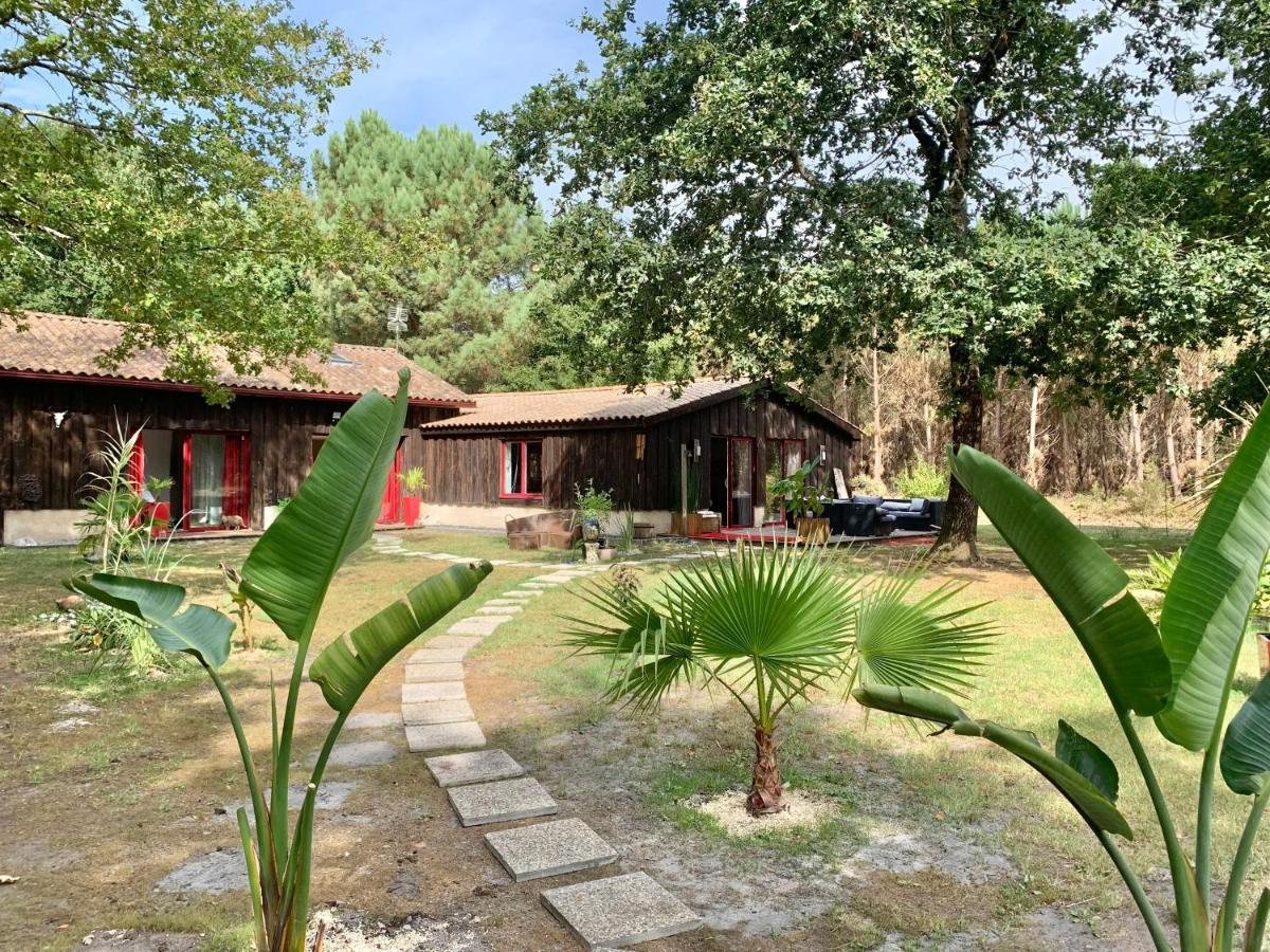 House De La Canopee, Swimming Pool, Lake, Forest, Large Garden And Wifi هورتين المظهر الخارجي الصورة