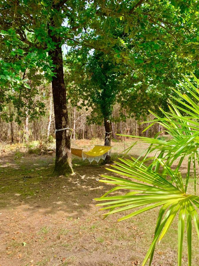House De La Canopee, Swimming Pool, Lake, Forest, Large Garden And Wifi هورتين المظهر الخارجي الصورة