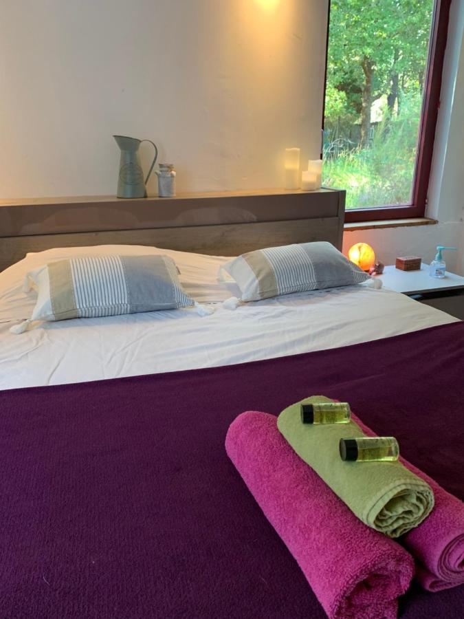 House De La Canopee, Swimming Pool, Lake, Forest, Large Garden And Wifi هورتين المظهر الخارجي الصورة