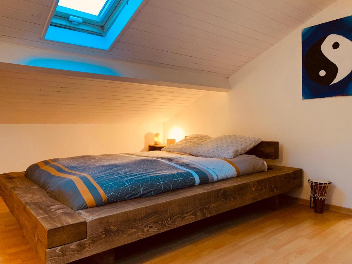 House De La Canopee, Swimming Pool, Lake, Forest, Large Garden And Wifi هورتين المظهر الخارجي الصورة