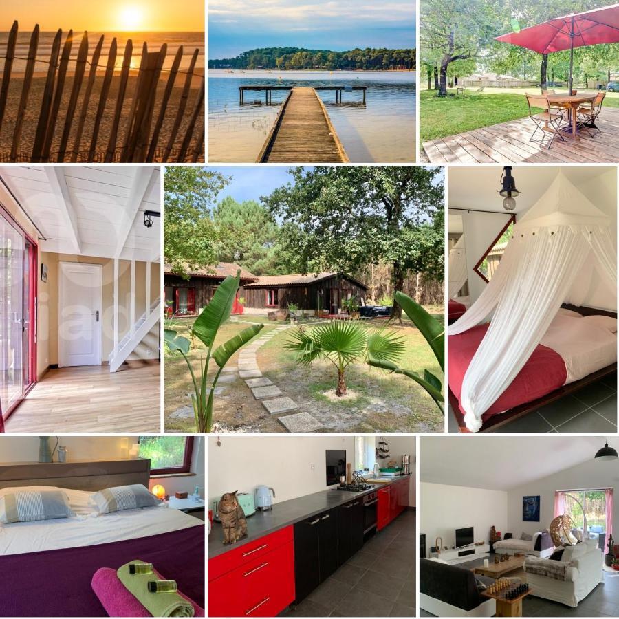 House De La Canopee, Swimming Pool, Lake, Forest, Large Garden And Wifi هورتين المظهر الخارجي الصورة