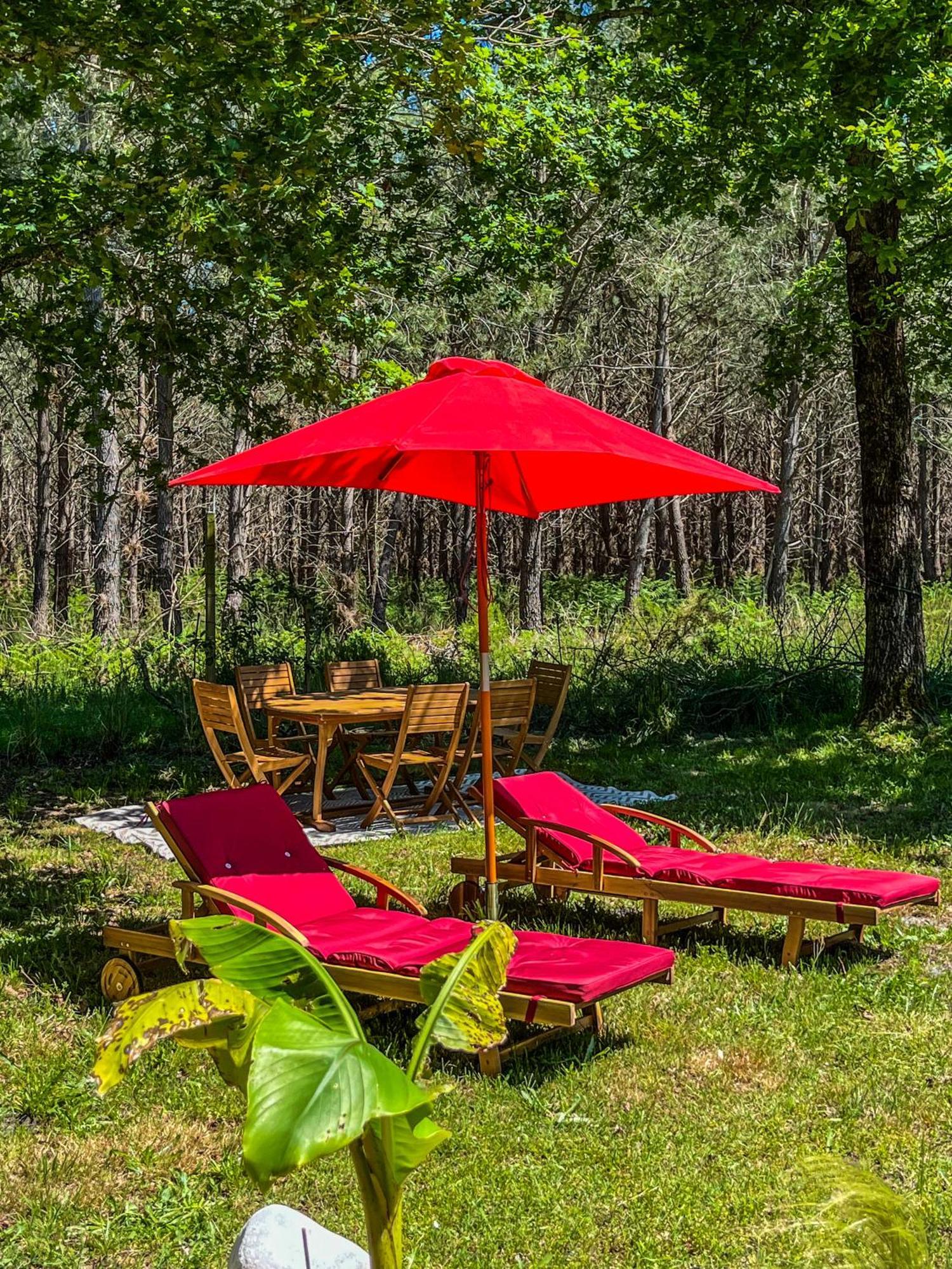 House De La Canopee, Swimming Pool, Lake, Forest, Large Garden And Wifi هورتين المظهر الخارجي الصورة