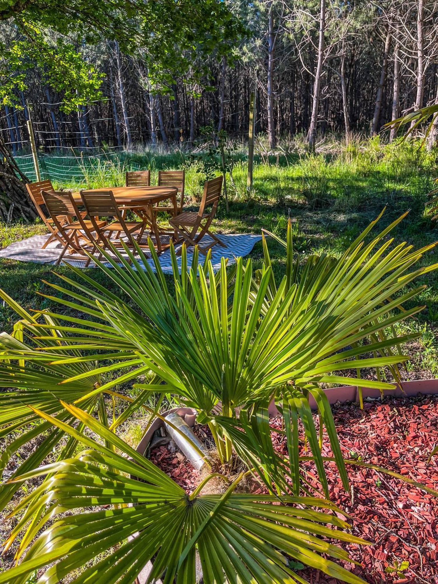 House De La Canopee, Swimming Pool, Lake, Forest, Large Garden And Wifi هورتين المظهر الخارجي الصورة