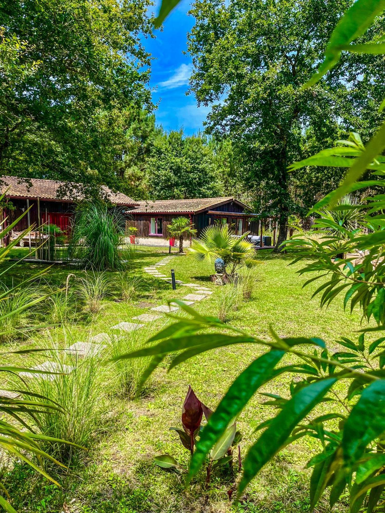 House De La Canopee, Swimming Pool, Lake, Forest, Large Garden And Wifi هورتين المظهر الخارجي الصورة