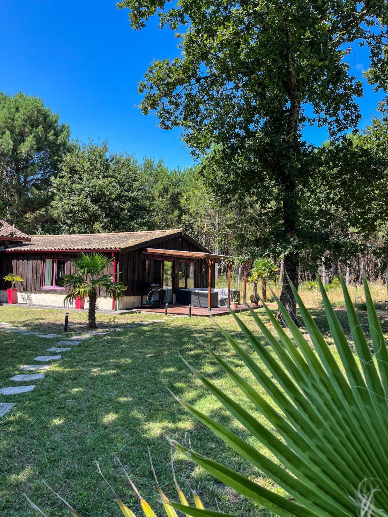 House De La Canopee, Swimming Pool, Lake, Forest, Large Garden And Wifi هورتين المظهر الخارجي الصورة